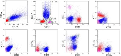 Anti-CD19 chimeric antigen receptor T-cell followed by interferon−α therapy induces durable complete remission in donor cell-derived acute lymphoblastic leukemia: A case report